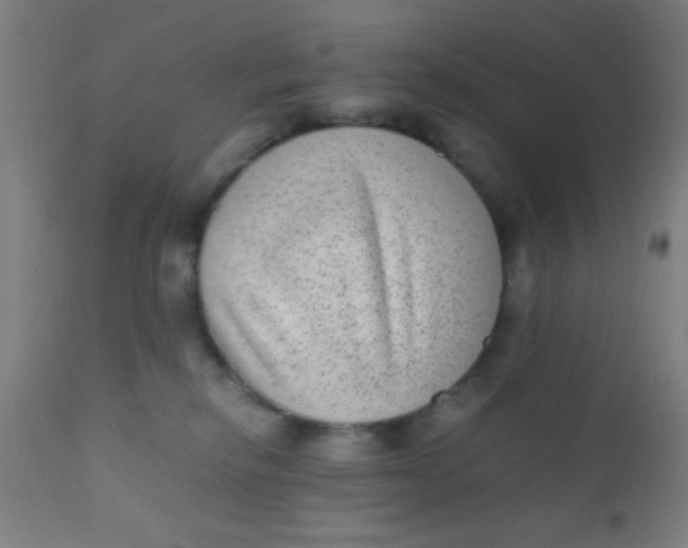 X0000110710278200907022030