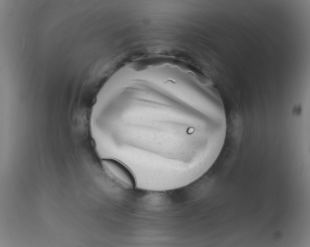 X0000110710280200907022030