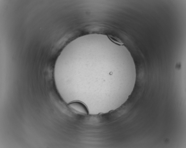 X0000110710282200907022030