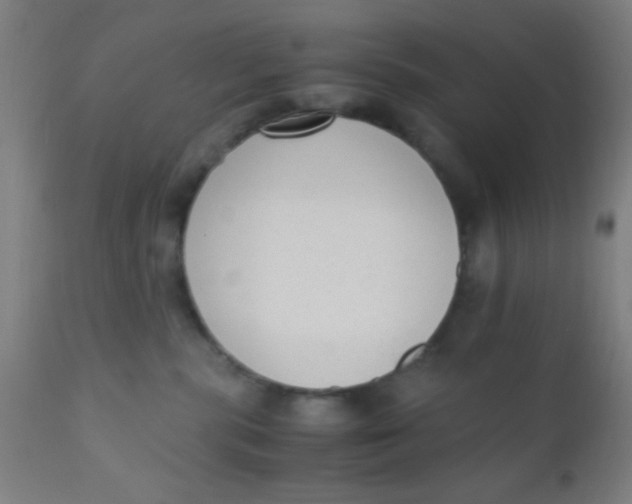 X0000110710283200907022030