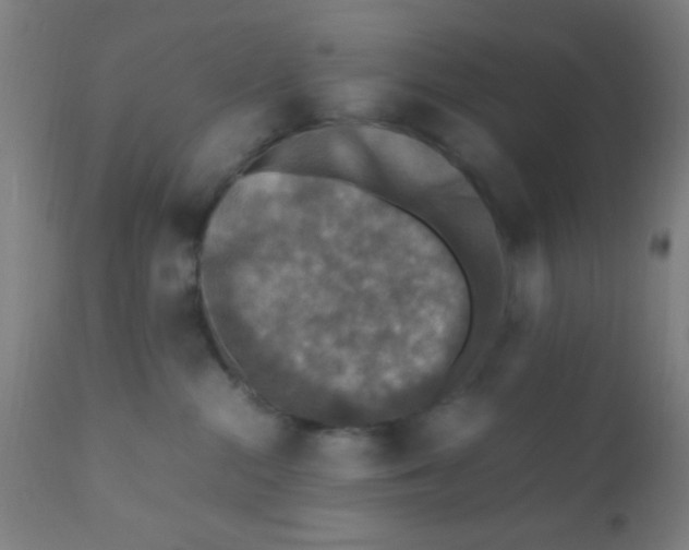 X0000110710284200907022030