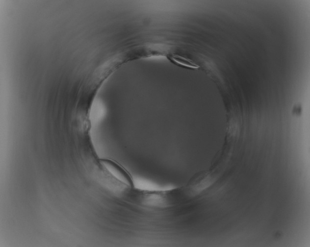 X0000110710285200907022030