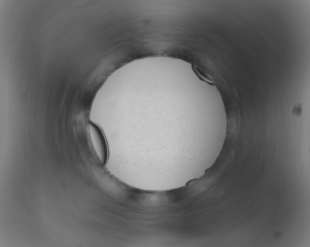 X0000110710286200907022030