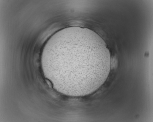 X0000110710291200907022029