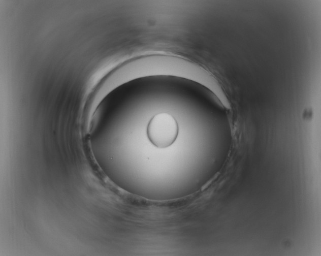 X0000110710292200907022029