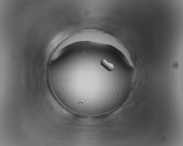 X0000110710293200907022029