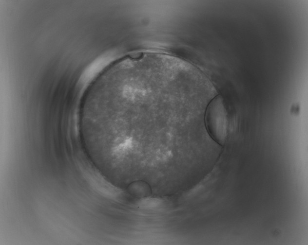 X0000110710294200907022029