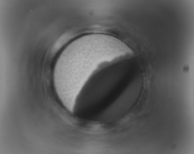 X0000110710295200907022029