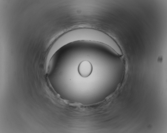 X0000110710297200907022029