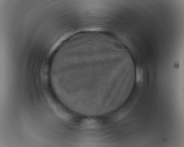 X0000110710300200907022029