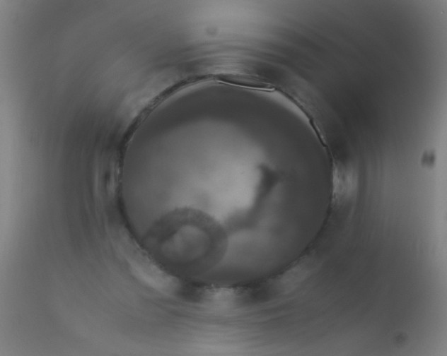 X0000110710301200907022029