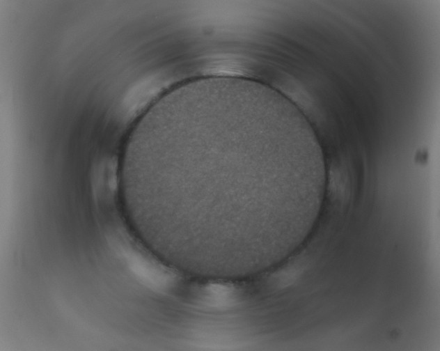 X0000110710302200907022029