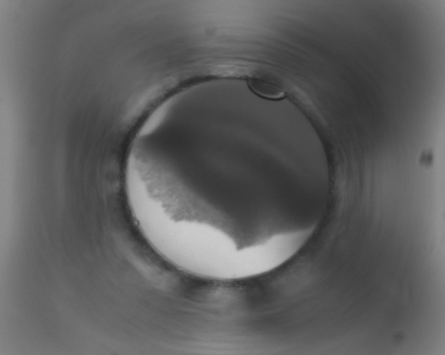 X0000110710303200907022029