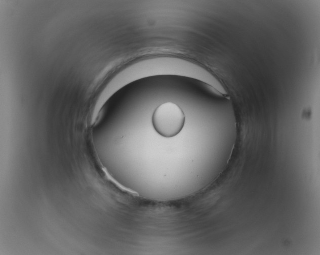 X0000110710304200907022029