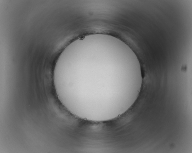 X0000110710306200907022029