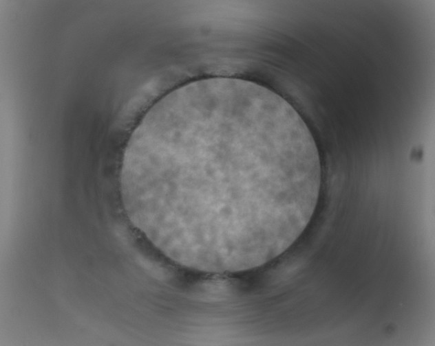 X0000110710307200907022029