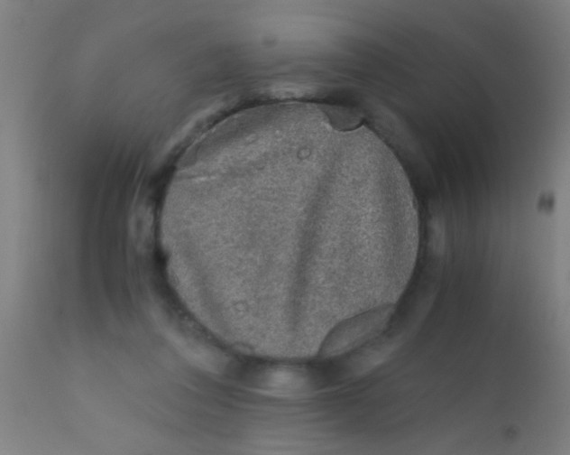 X0000110710308200907022029