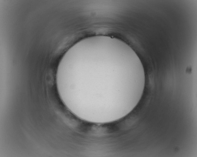 X0000110710311200907022029