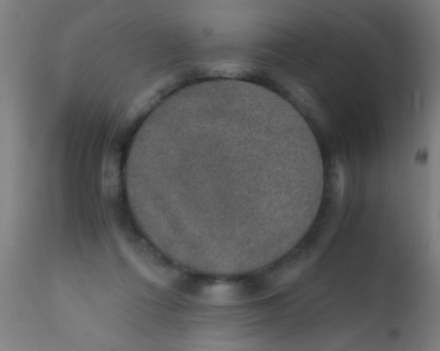 X0000110710312200907022029