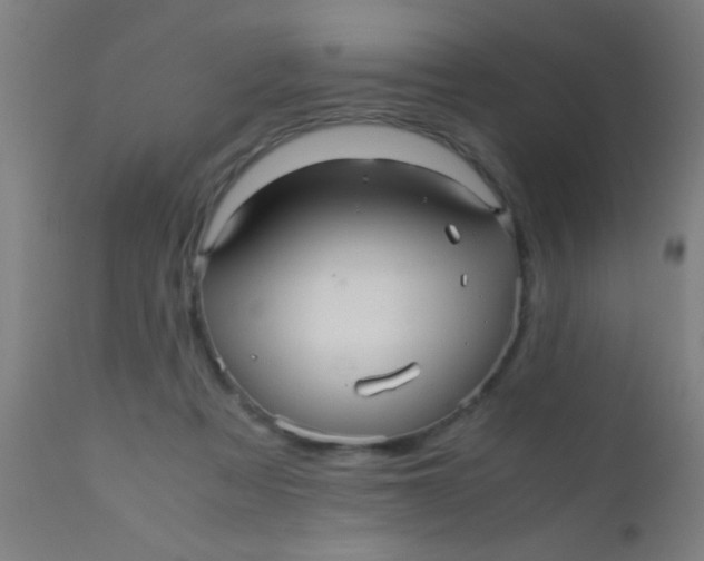 X0000110710313200907022029