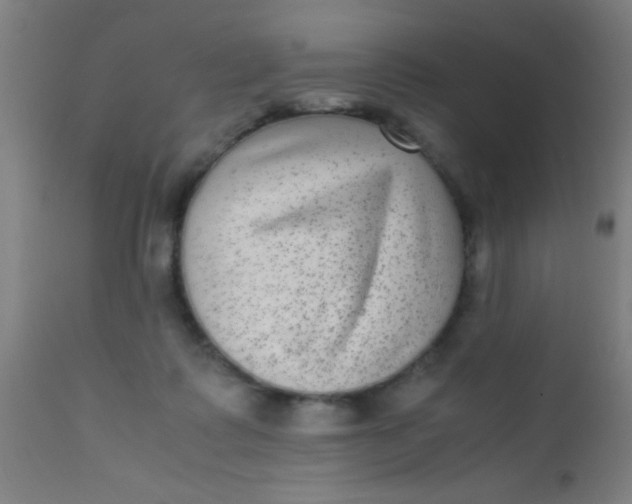 X0000110710315200907022029