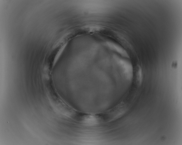 X0000110710316200907022029