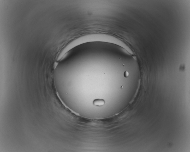 X0000110710317200907022029