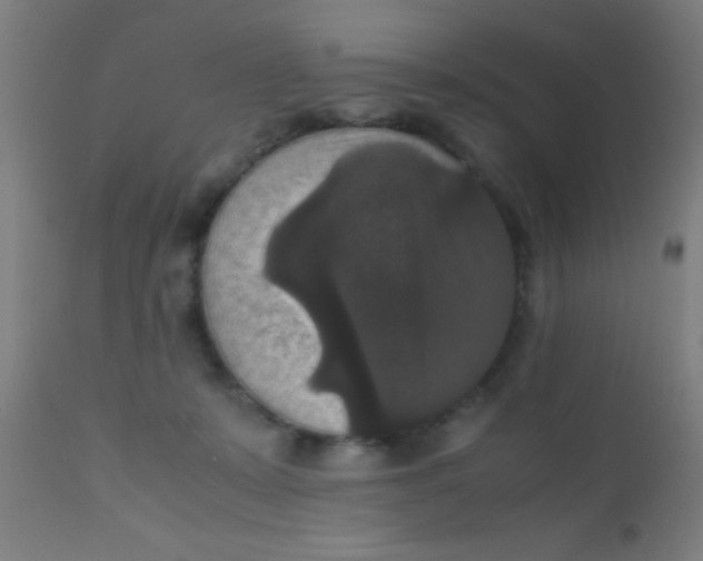 X0000110710319200907022029