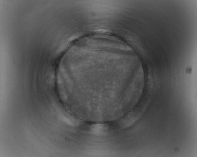 X0000110710320200907022029