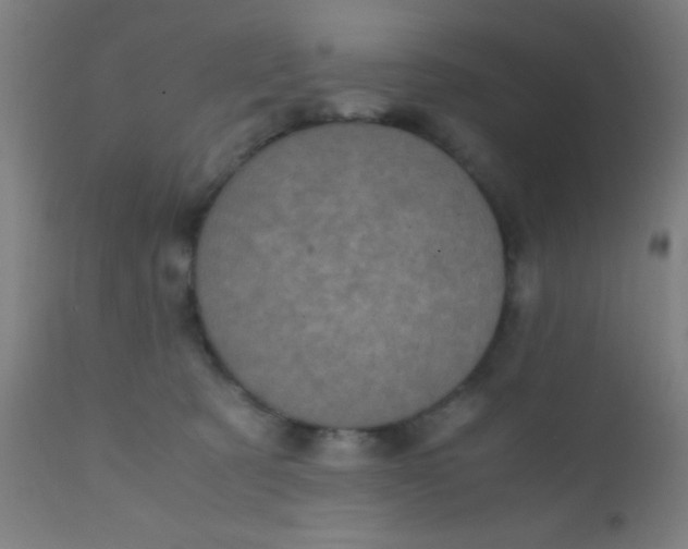 X0000110710321200907022029