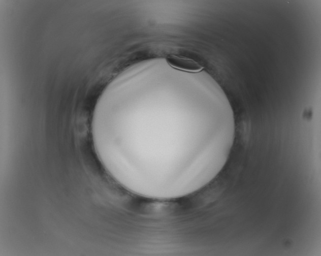 X0000110710323200907022029