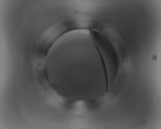 X0000110710325200907022029