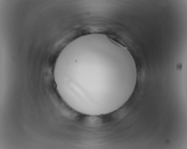 X0000110710327200907022029