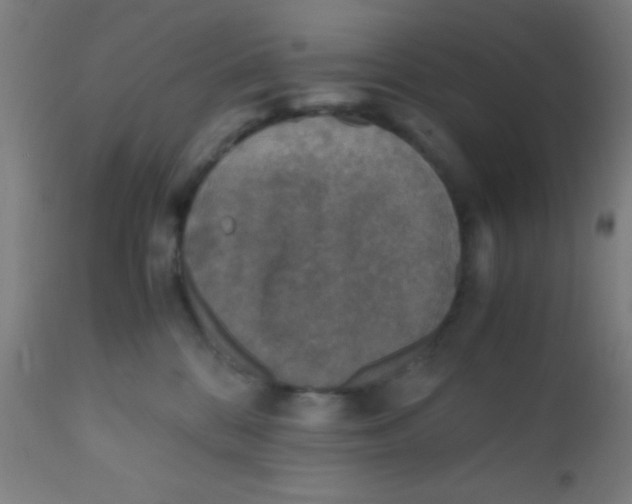 X0000110710328200907022029