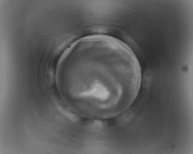 X0000110710330200907022029