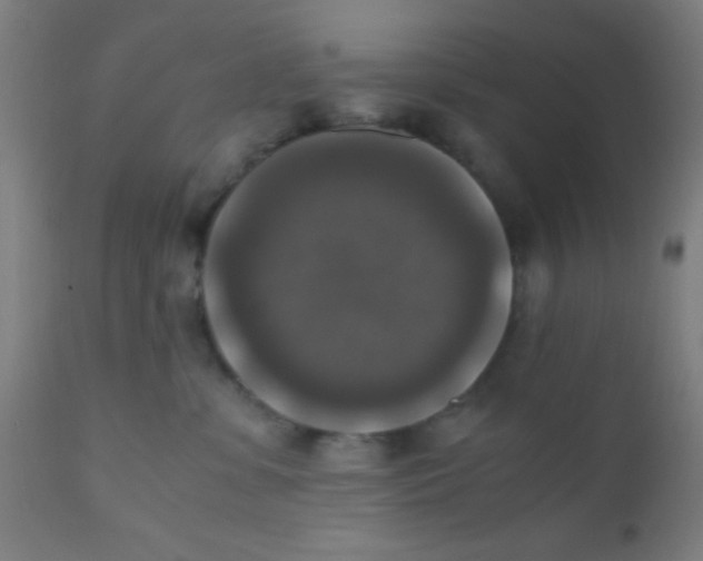 X0000110710331200907022029