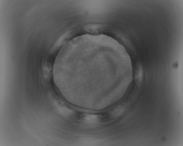 X0000110710332200907022029