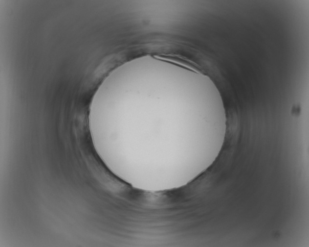 X0000110710333200907022029