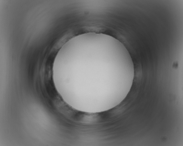 X0000110710334200907022029