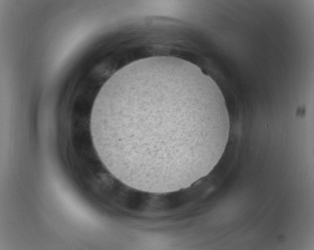 X0000110710335200907022029