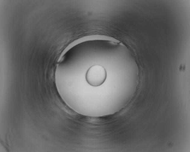 X0000110710336200907022029