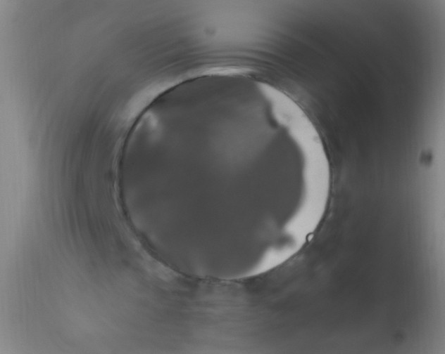 X0000110710337200907022028