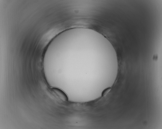 X0000110710338200907022028