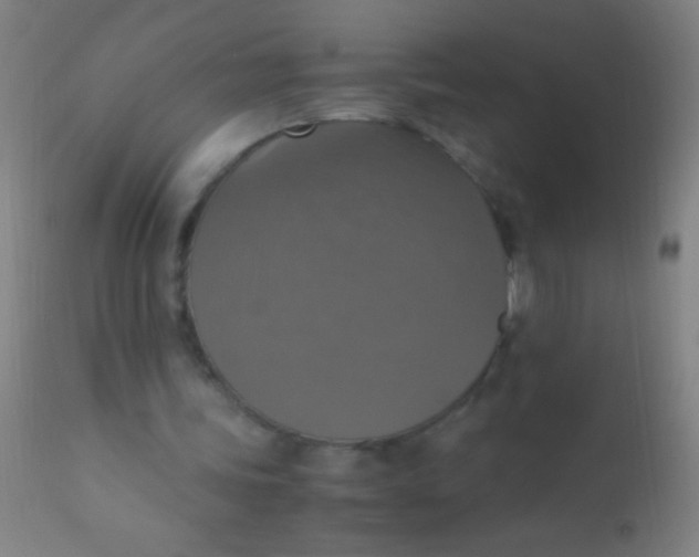 X0000110710339200907022028