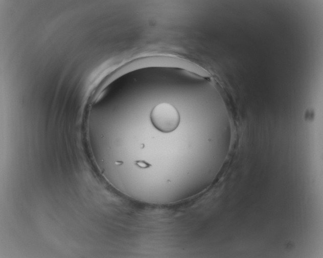 X0000110710340200907022028