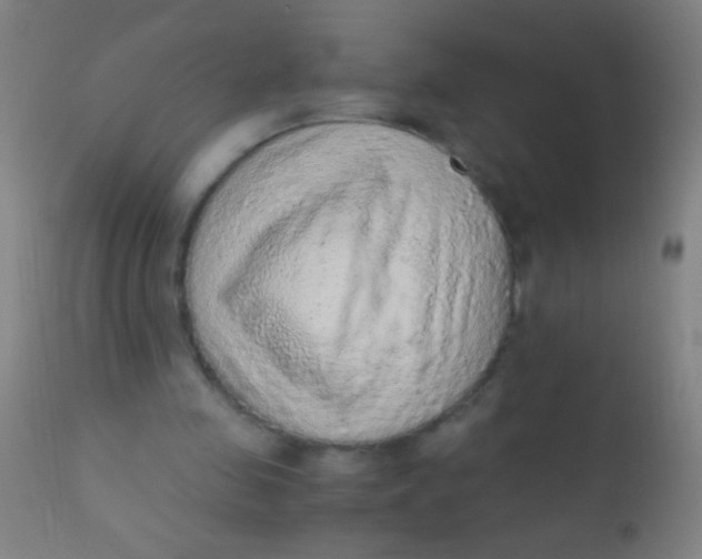 X0000110710341200907022028