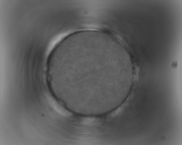 X0000110710342200907022028