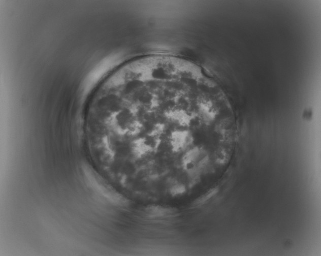 X0000110710343200907022028