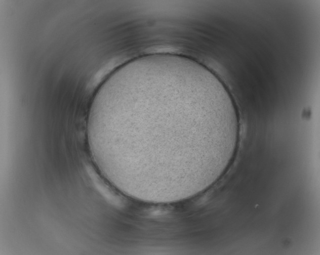 X0000110710345200907022028