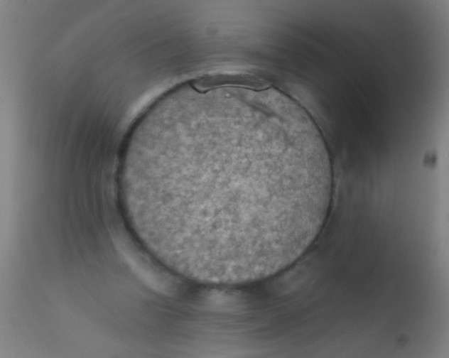 X0000110710346200907022028